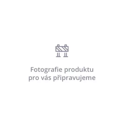 TRAPEZPROFILZAUN NPV3